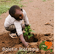 Boletín Lleva tiempo