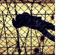 CampañaMigreurop 190