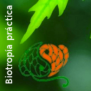 Biotropía práctica 180