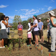 Actividades verano 2015