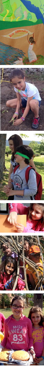 Composicion Okavango 150