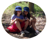 Pausa meditativa web