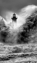 Quietud en la adversidad 222