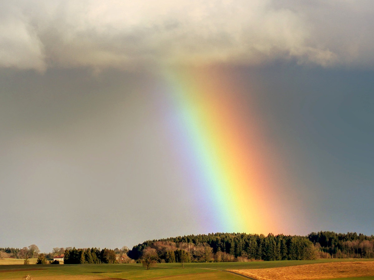 De gráficos y arcoíris – Biotropia